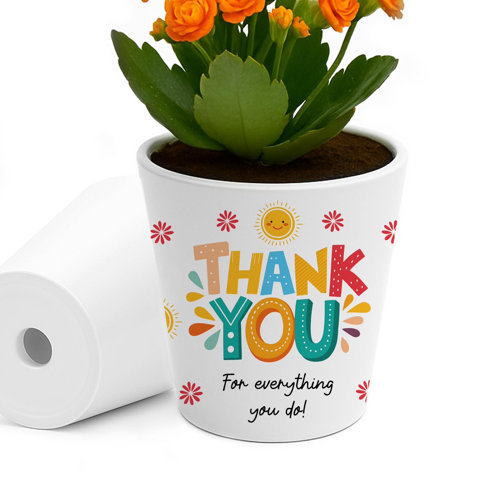 RED OCEAN Thank You Gift For Someone Special Teacher Volunteer Tutor Mentor Thank You For Everything Friends Family Plant Pot 10cm x 9cm Gift Teaching Assistant Mentor Nurse Doctor