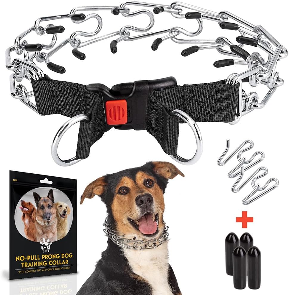 DogThing by Talents10 Dog Training Prong Collar (Large