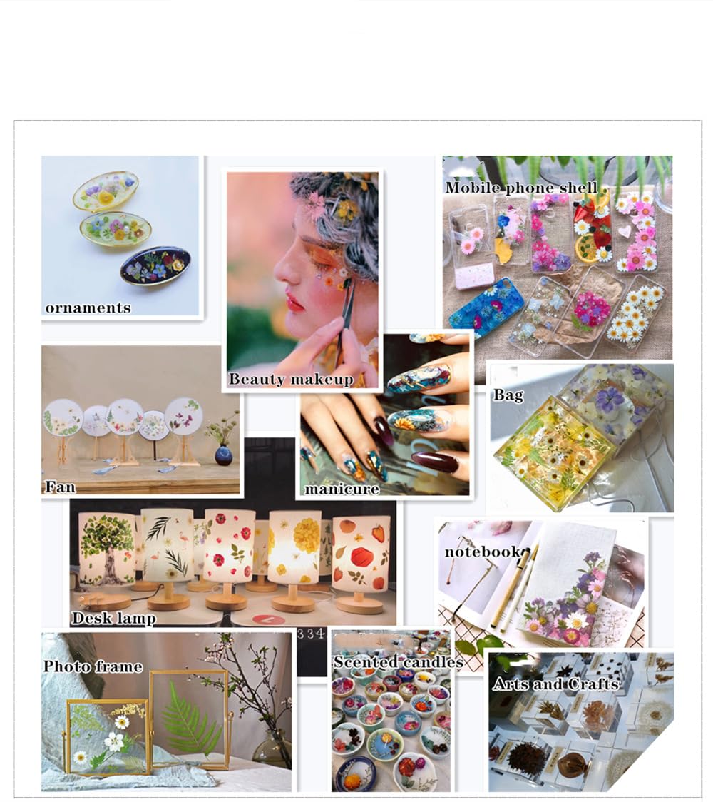 72 Piezas Flores Secas Naturales Mixtas Flores Secas Prensadas Kit de Hojas Secas Hierbas Naturales para Resina Álbumes de Recortes DIY Regalo Scrapbooking Joyas Uña Pendientes Arte