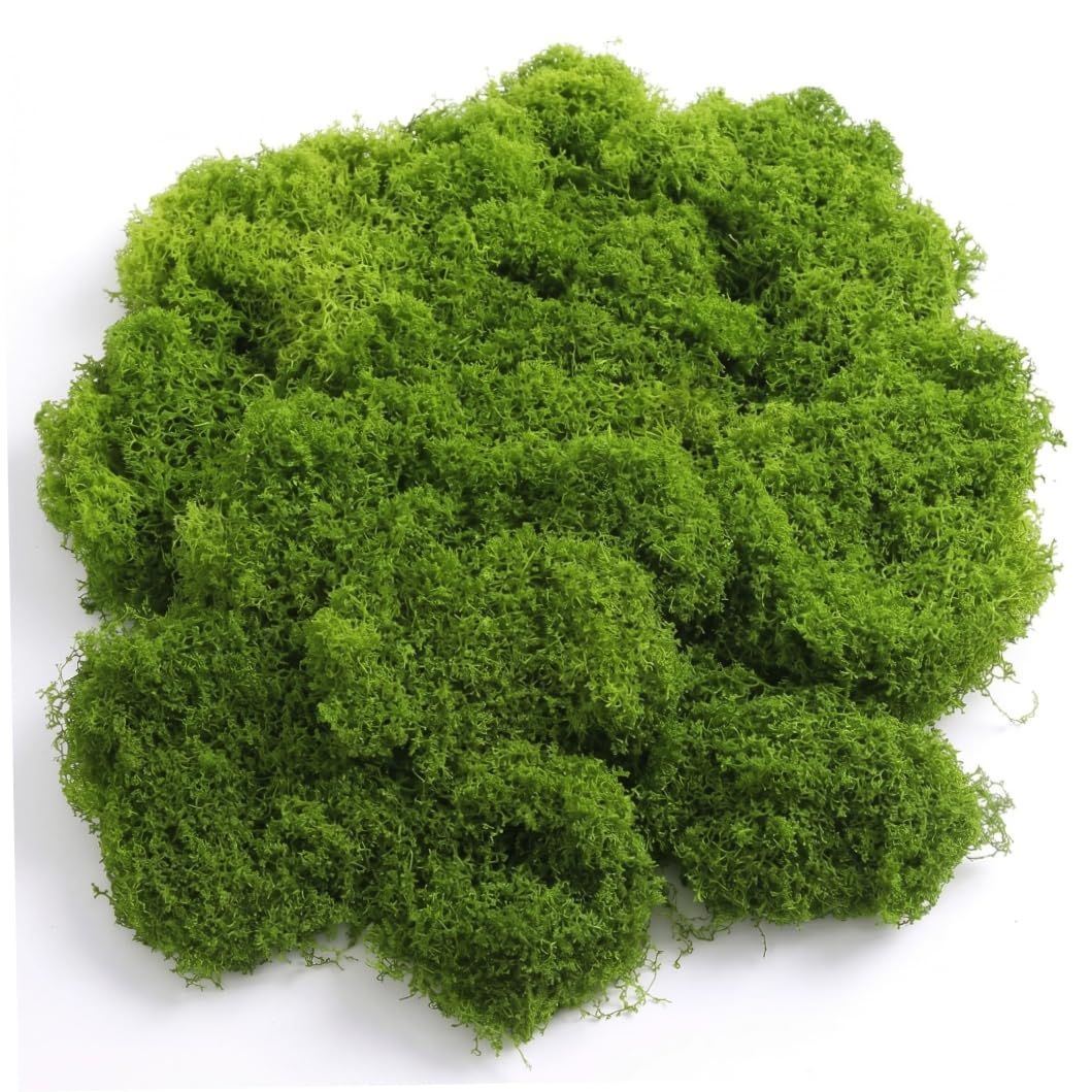 Wilafury Artificial Moss, 200g Faux Decorative Moss for Potted Plants, Fairy Gardens, Terrariums & DIY Crafts, Dark Green