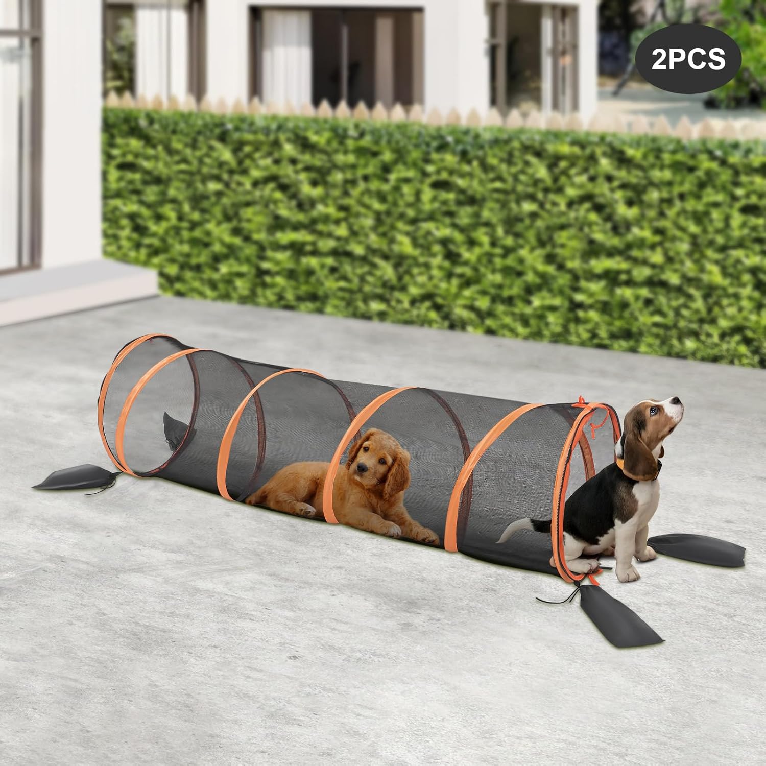 Pop up Pet Fun Tunnel Outdoor Cat Play Tunnel Collapsible, Cat Tunnels for Indoor Cats Outdoor Catio Furniture and Play Kits for Cats, Dog