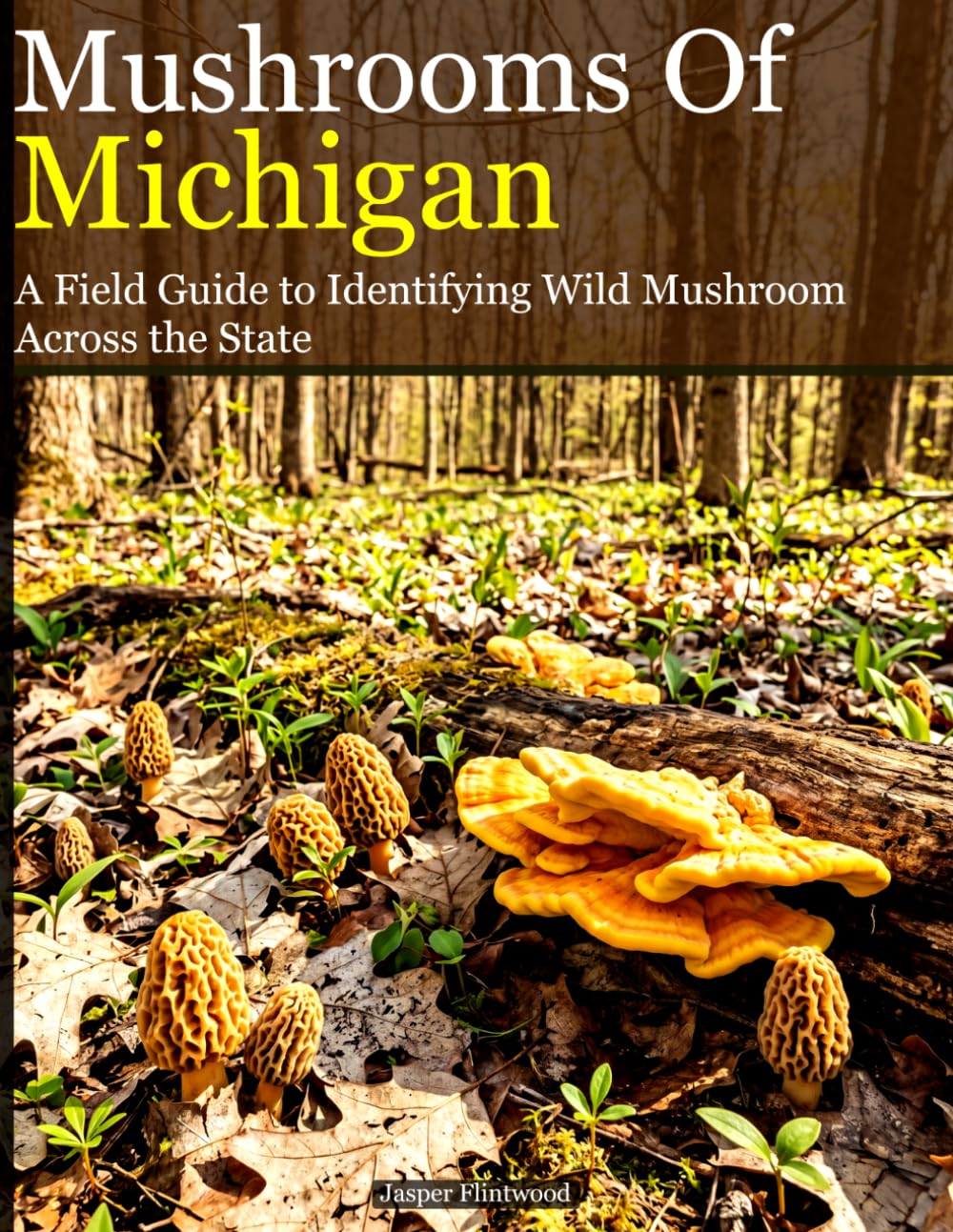 Mushrooms of Michigan: A Field Guide to Identifying Wild Mushroom Across the State