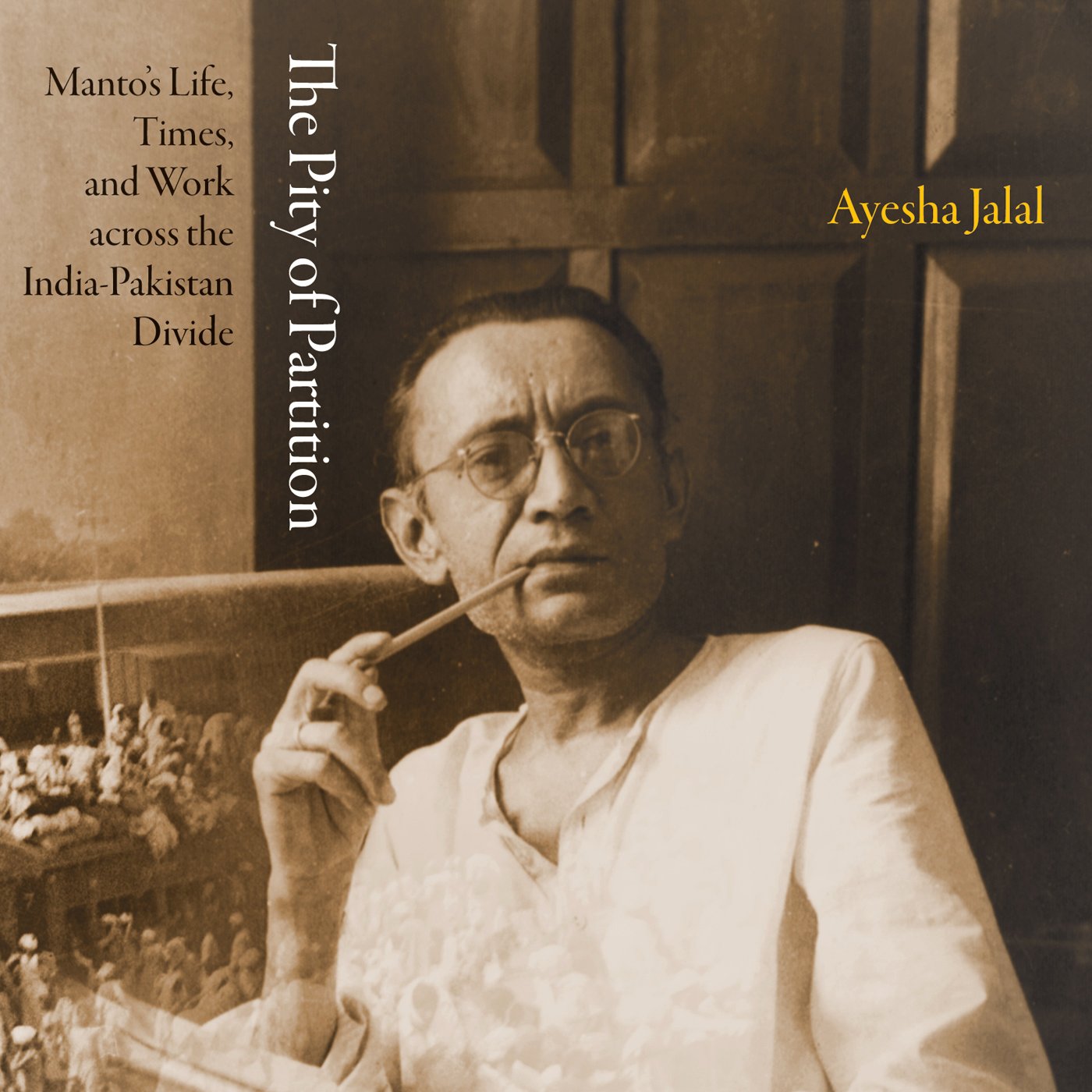 Cover art for The Pity of Partition