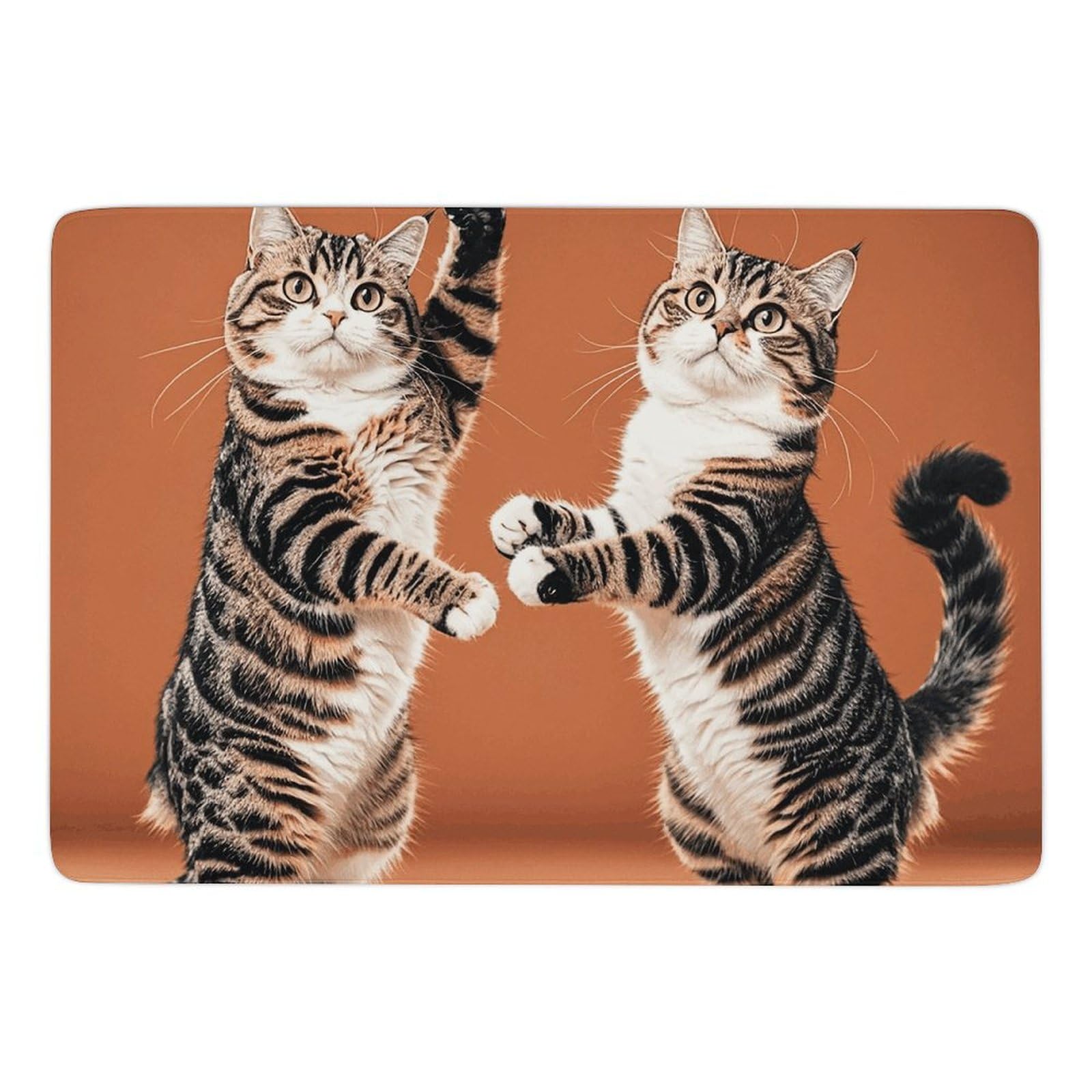 Tapis de salle de bain deux chats en velours corail antidérapant et lavable