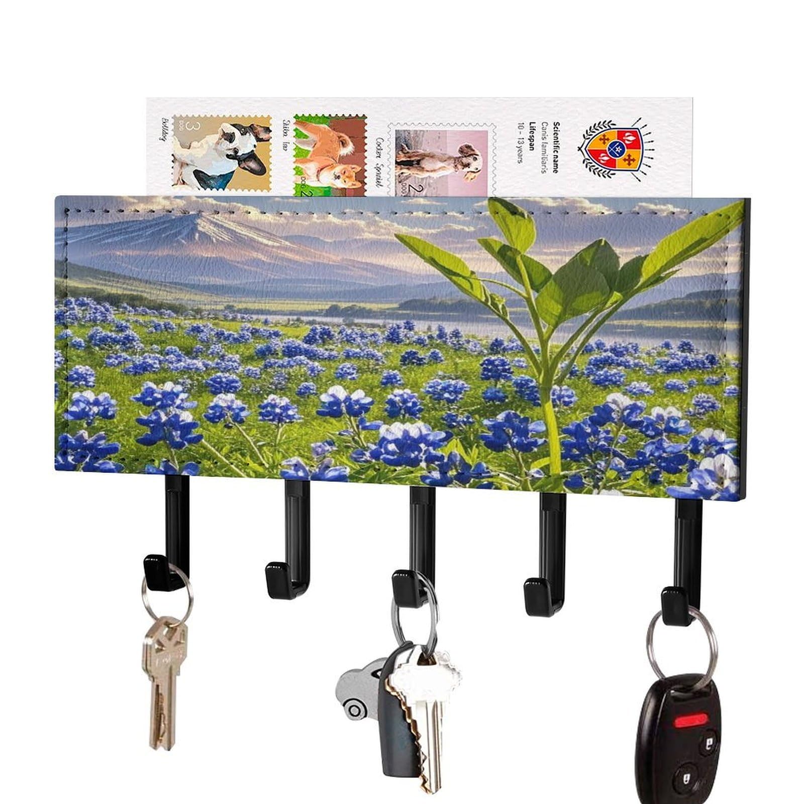 Vstadank Black-Style Bluebonnets Scenery Key Holder Wall Mount Pu Key Rack Decorative Key And Mail Holder Wall Key Organizer With 5 Key Hooks Key Hanger For Entryway Kitchen Living Room Office Doorway Decor Black
