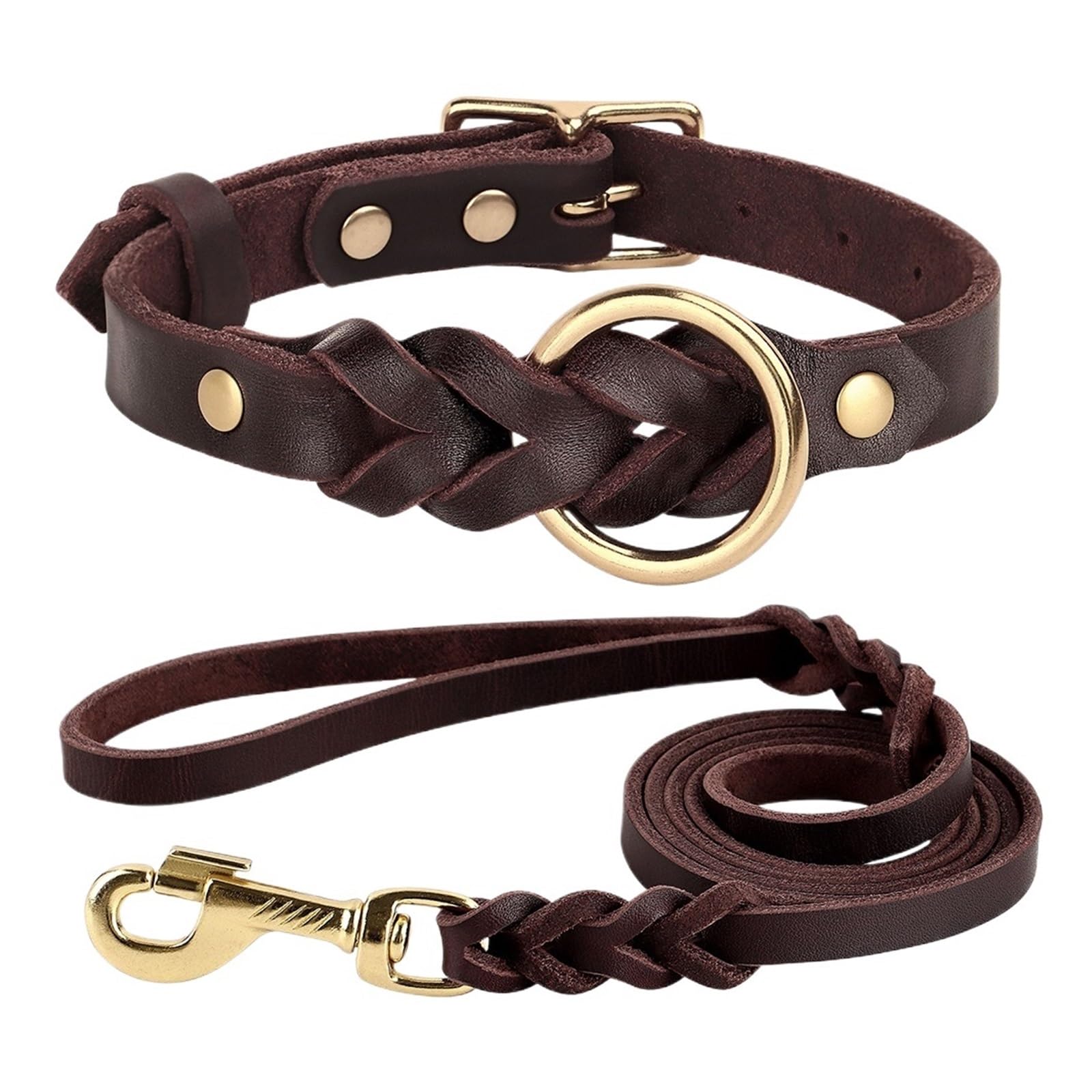 Set guinzaglio con collare in pelle intrecciata | Set resistente for cani di taglia media e grande(M)