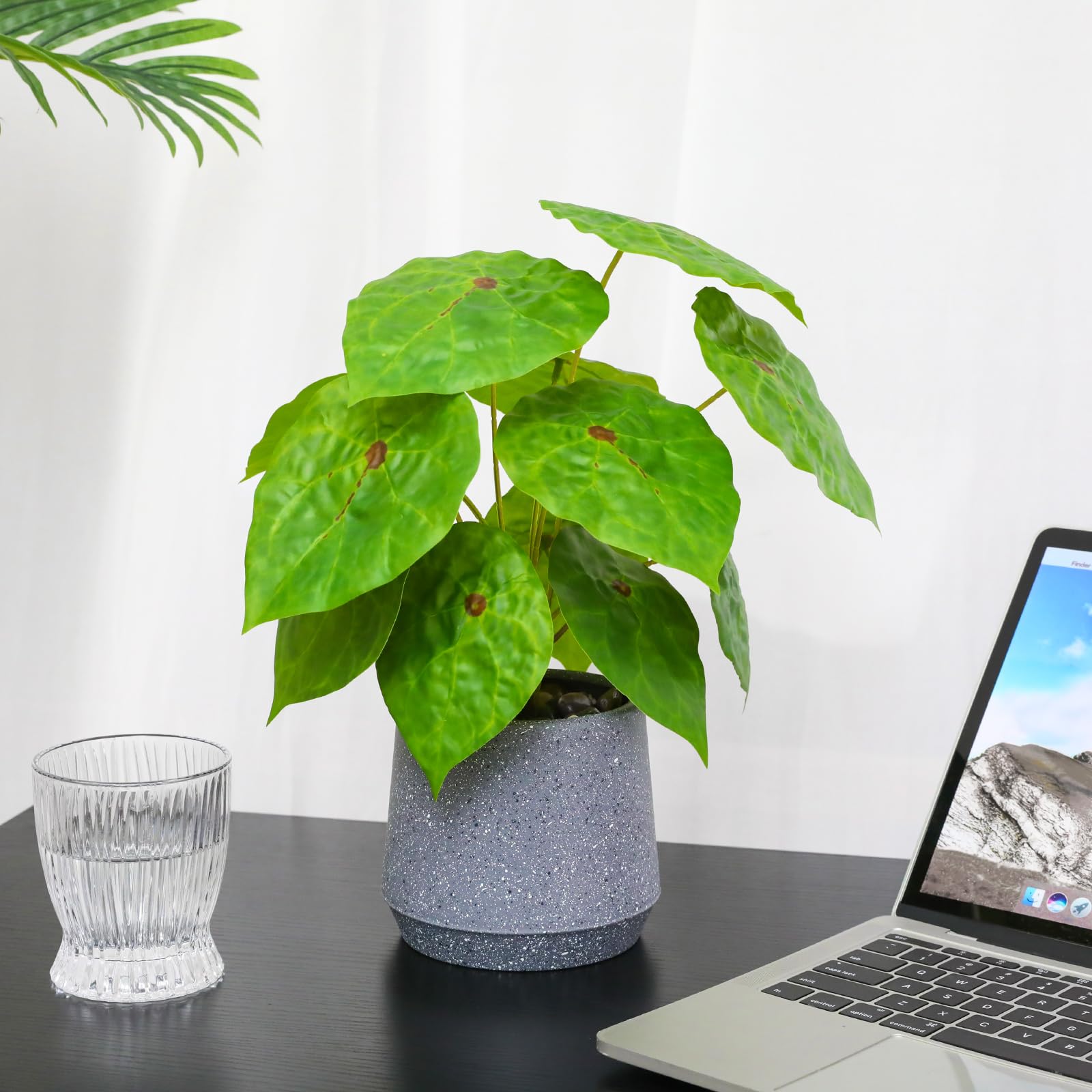 LUWENER Artificial Greenery Plant in Grey Pot,12.5"/32cm Large Fake Green Plant with Greenery Leaves for Indoor Living Room office Bathroom Home Decoration(Imperial Concubine) - Image 3