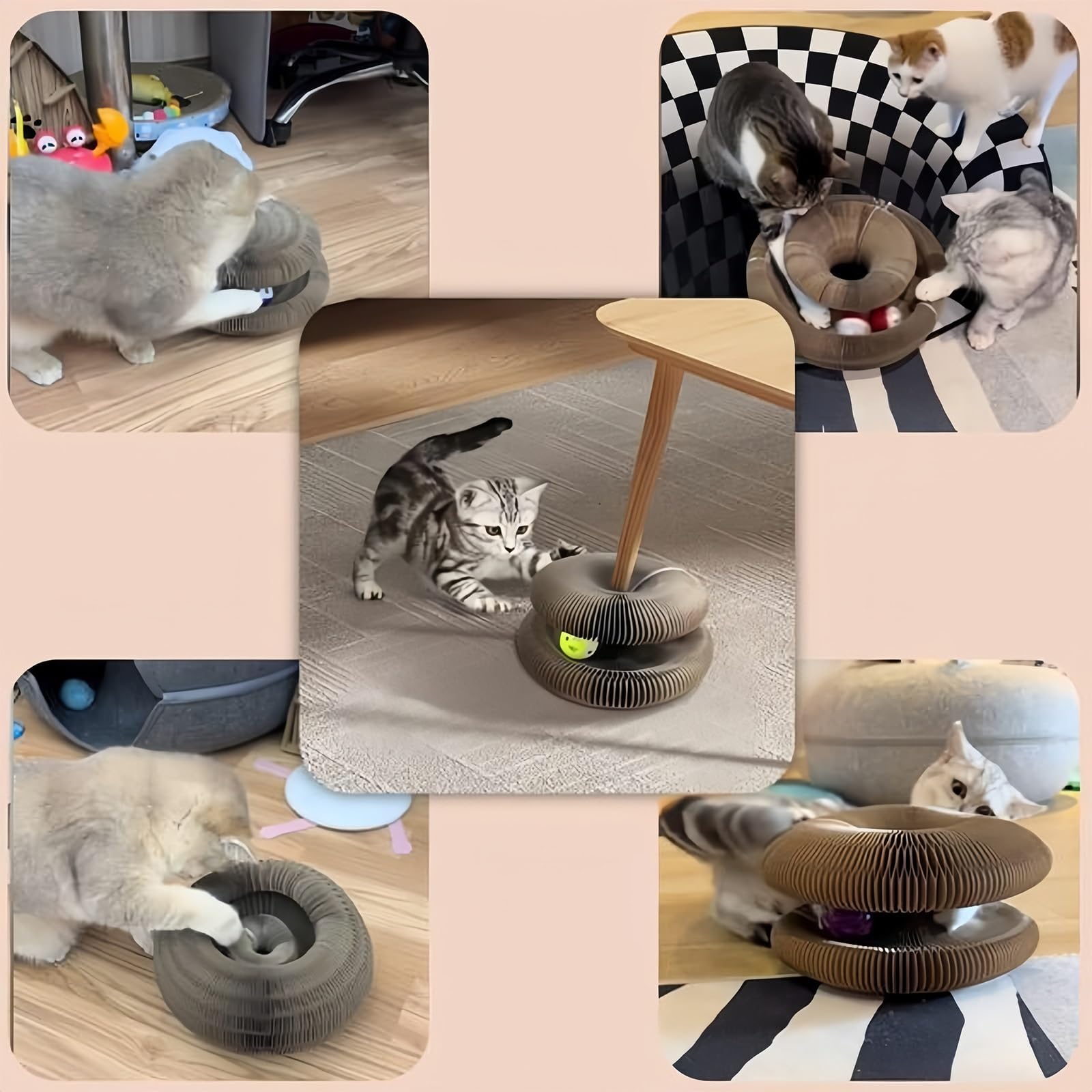 Flexiplay – 2in1 Kratz- und Spielring, Kratzkokon für Katzen mit Ball, Katzenwirbel Katzenliebling, Flexibles Katzenspielzeug für Den Innen und Außenbereich, Lindert Katzenstress(A,3 Stück)