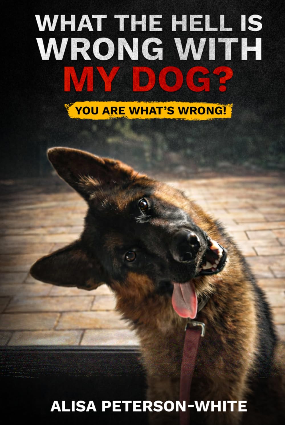 WHAT THE HELL IS WRONG WITH MY DOG?: YOU ARE WHAT'S WRONG!