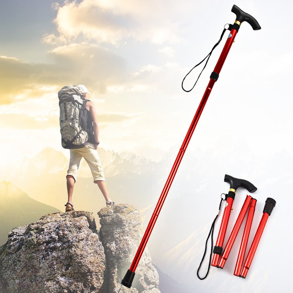 Ducomi Bastone Pieghevole da Passeggio Regolabile in Alluminio - Bastoni Anziani, Donna Uomo - Impugnatura Ergonomica, Leggero, Trasportabile e Durevole - Sostegno e Aiuto per la Mobilità (Silver)