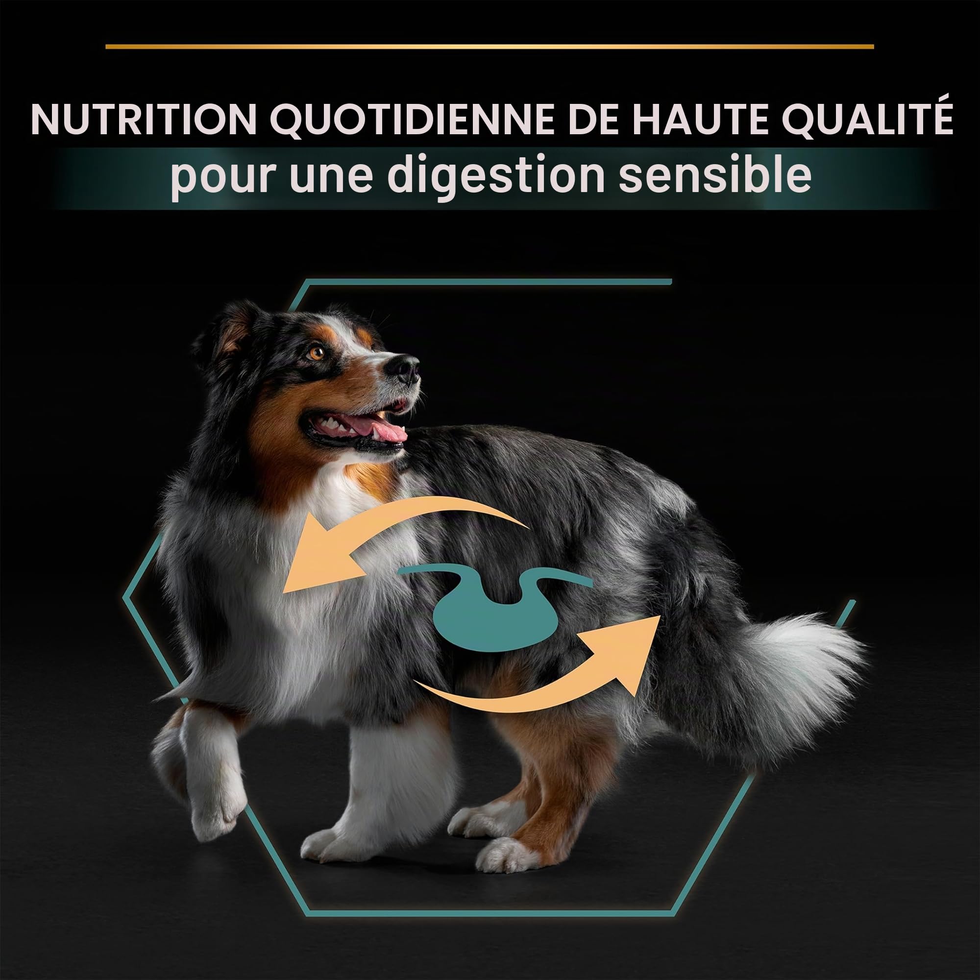 PURINA PRO PLAN | Sensitive Digestion | Croquettes complètes pour chien adulte de moyenne taille | Favorise un système digestif sain | Riche en Agneau | Croquettes | Sac de 14kg