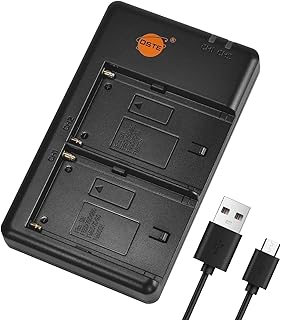DSTE NP-F Battery USB Dual Quick Charger(npf battery charger) Compatible for Sony NP-F550 NP-F750 NP-F770 NP-F930 NP-F950 NP-F960 NP-F970 NP-FM50 NP-FM55H NP-FM500H f550 battery