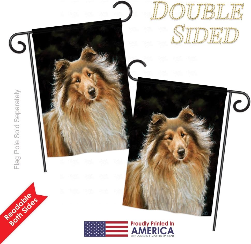 Breeze Decor PT-G-110075-IP Collie Nature Everyday Pets Impressions Decorative Vertical Garden Flag, 13"x 18.5", Multicolor