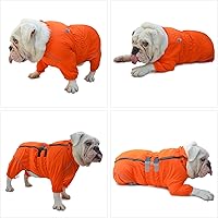 Vista 5 de Lovelonglong - Chaqueta impermeable para perros, ligera, impermeable, reflectante, resistente al viento, a prueba de nieve, para perros pequeños