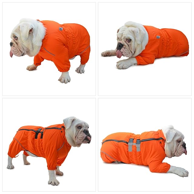 Foto 7 de 8 de Lovelonglong - Chaqueta Impermeable para Perros, Ligera, Impermeable, Reflectante, Impermeable, para Perros…