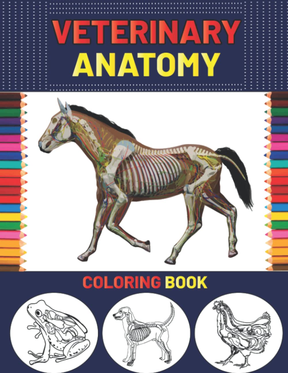 Buy Veterinary Anatomy Coloring Book Animal Anatomy and Veterinary