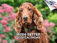 Vista 133 de Razas de Perros 2017