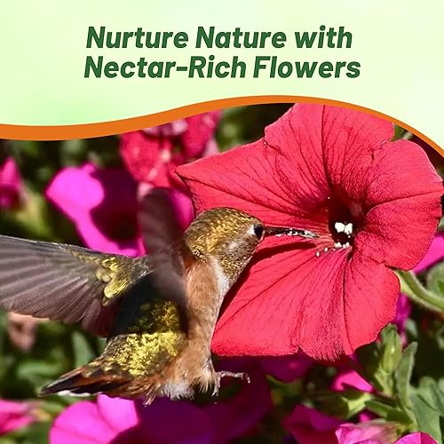 Miniatura 5 de Outsidepride 250 semillas anuales Petunia Grandiflora Semillas de flores rojas para plantar