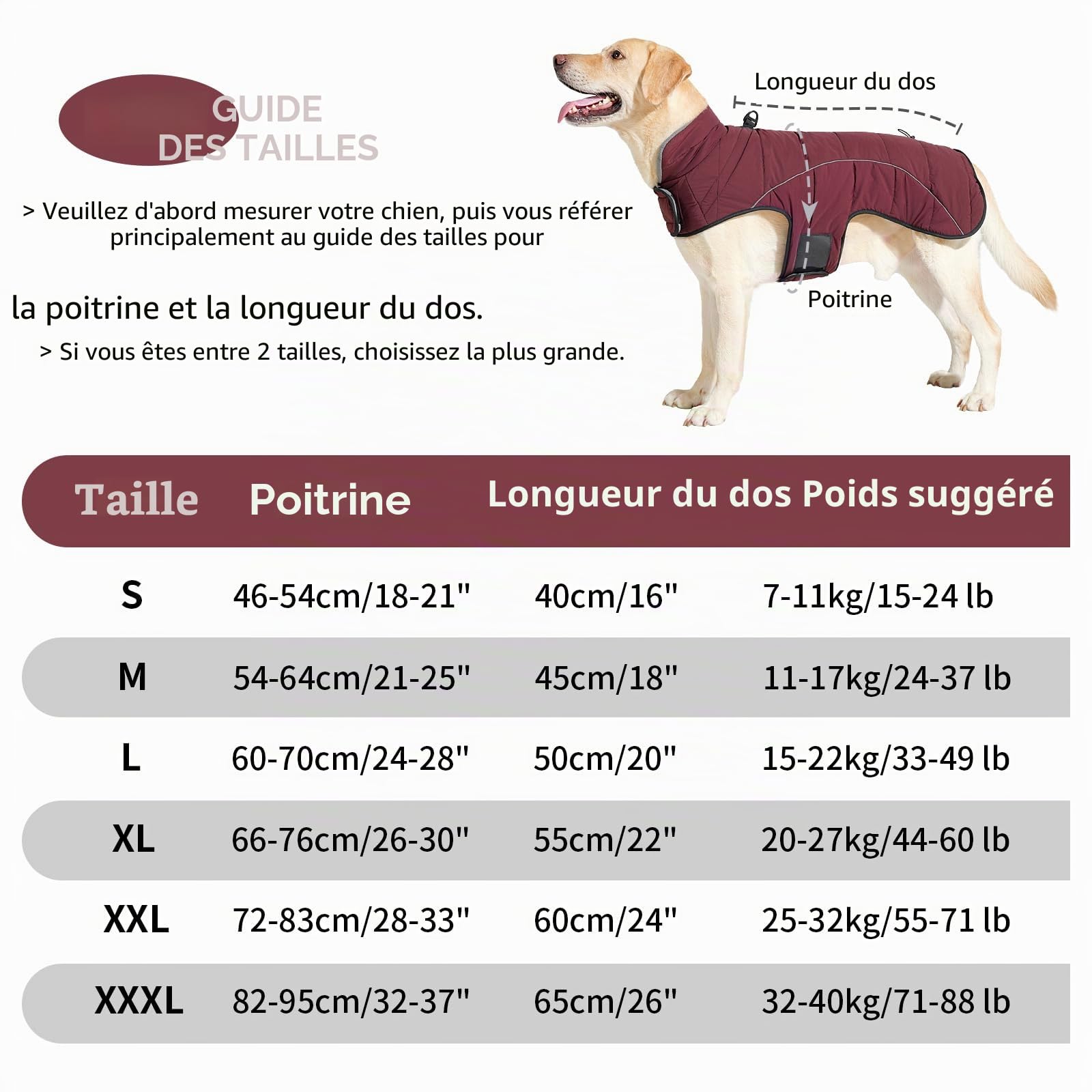 HEYWEAN Manteau imperméable pour Chien Veste Chaude en Polaire pour Chien Pull d'hiver avec Anneau en D Réfléchissant avec Fermeture Veste d'hiver pour Chiens de Petite, Moyenne et Grande