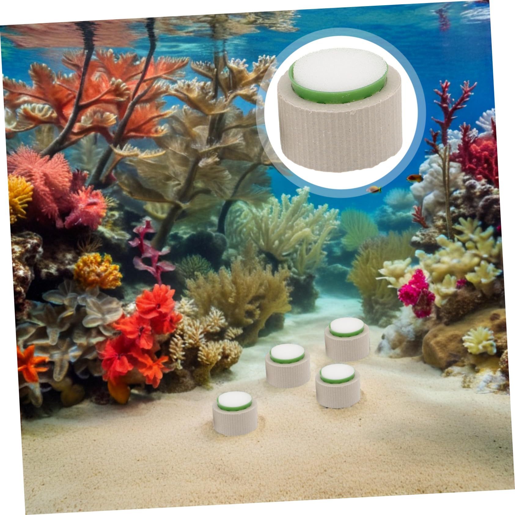 Juego De 15 Anillos Cerámicos para Plantas Acuáticas Soportes Pesados Antiflotantes con Algodón Plantador Accesorios para Decoración y Paisajismo de Acuarios Fijación Estable para