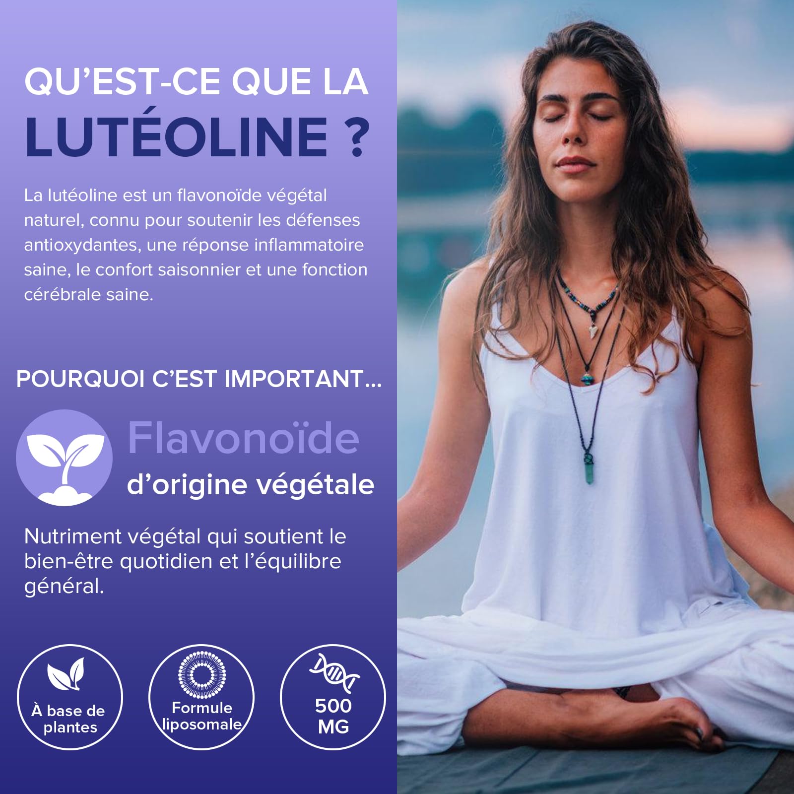 Lutéoline Liposomale Gélules 500 mg (2 Paquets)