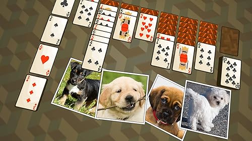 Solitaire Puppies TV