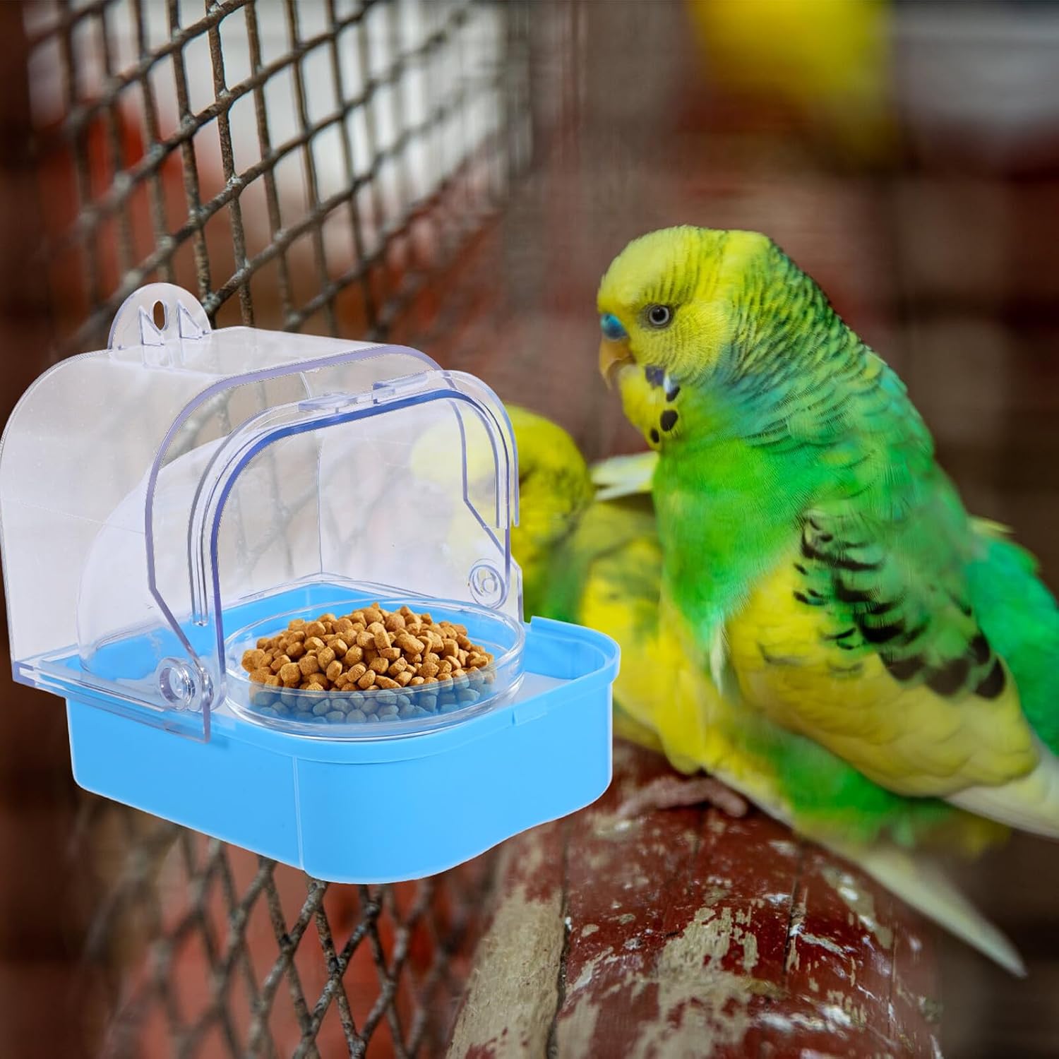 Parrot Food Dispenser Cage Side Feeder with Food Shell Separation Large Capacity for Hanging Parakeet Cage Feeding and Watering Supplies