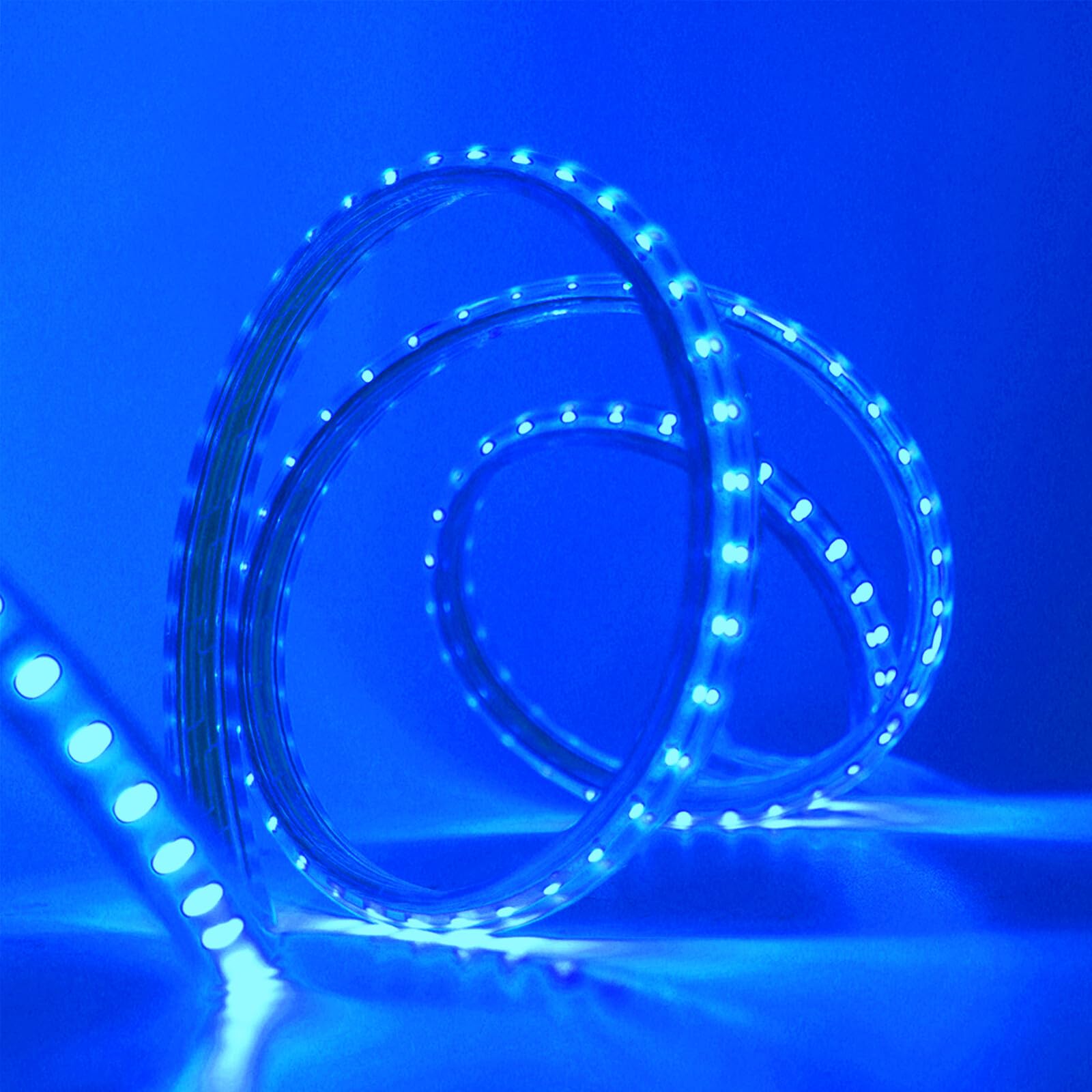 HEGEHE SMD 3014 LED Strip Light with Switch Power Cord, 220V Waterproof Kitchen Cabinet Ceiling Home Garden Deck Rope Light (Blue,10 Meters)