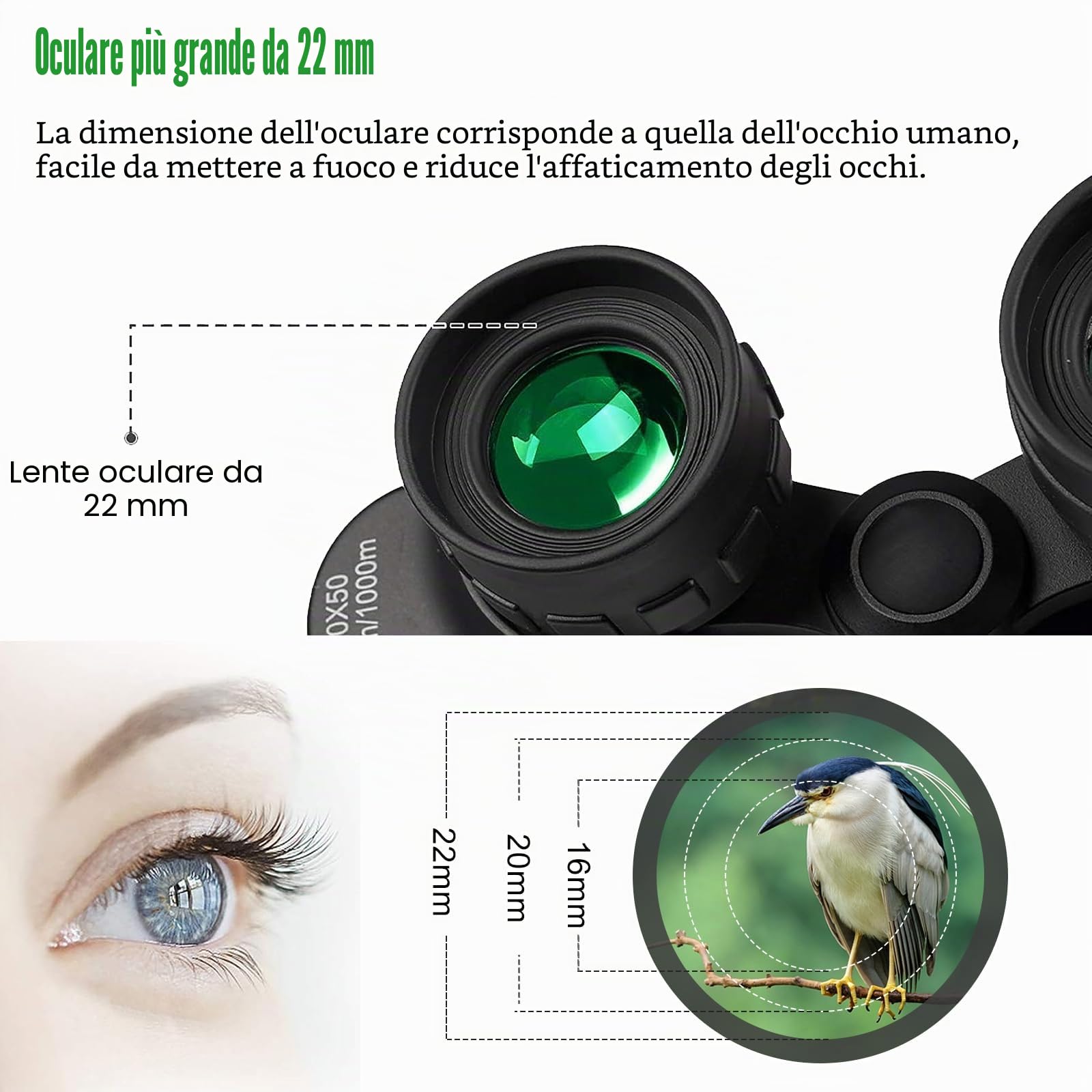 Binocolo 20x50 per Adulti, Binocolo Impermeabile HD con Prisma BAK4 e Lente FMC, Telescopio Binoculare Portatile per Birdwatching, Calcio, Escursioni, Concerti.