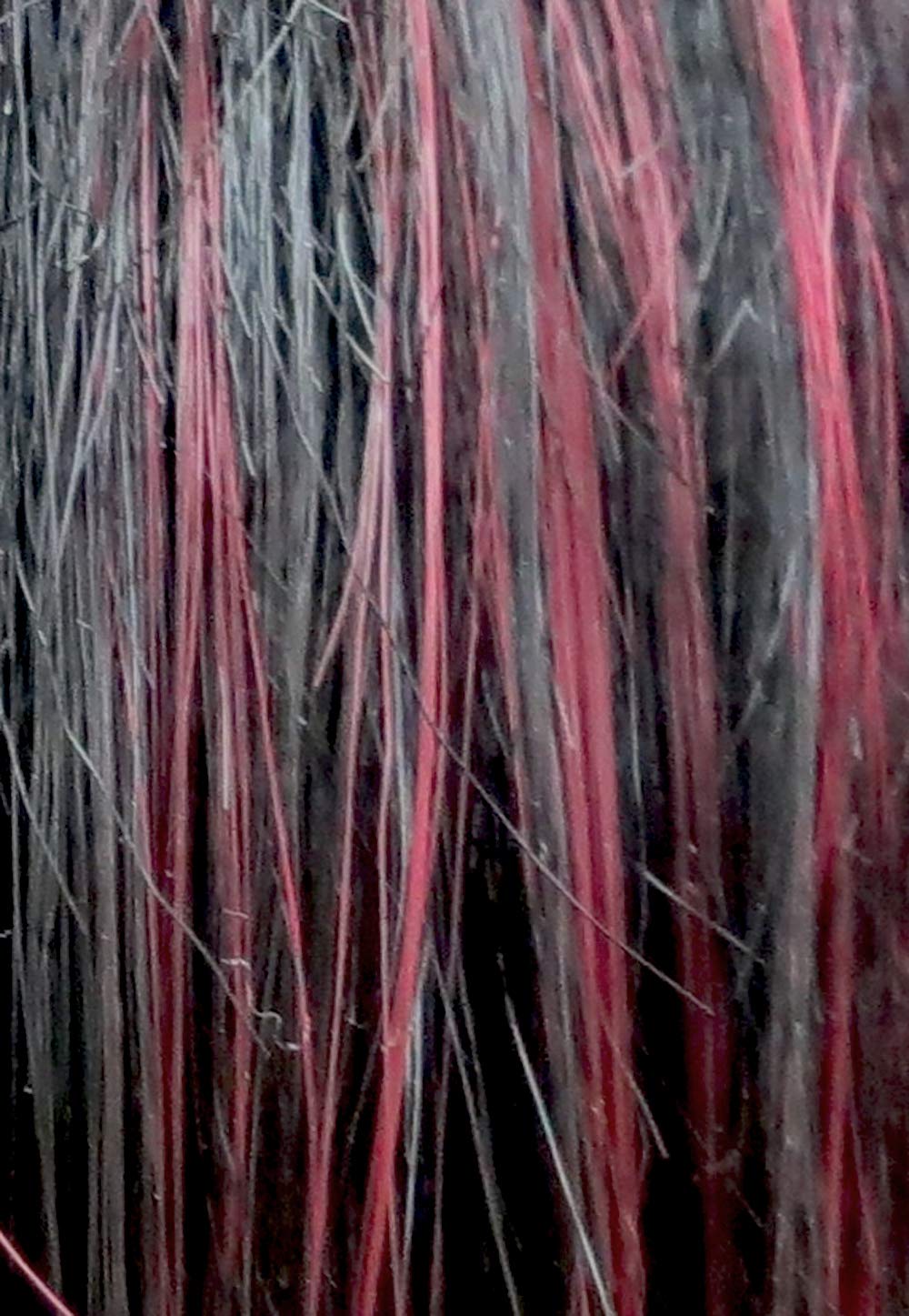 Bianca Wig Color F1BBG - Foxy Lady Wigs Short Pixie Wavy Textured Layers Synthetic Wispy Bangs African American Women's Machine Wefted Lightweight Average Cap Bundle MaxWigs Hairloss Booklet