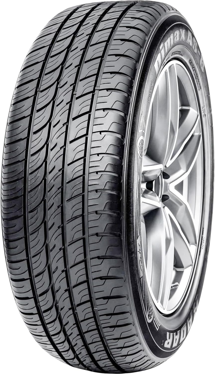 Radar Tires Dimax AS-8 Touring Radial Tire - 265/45ZR20 108W