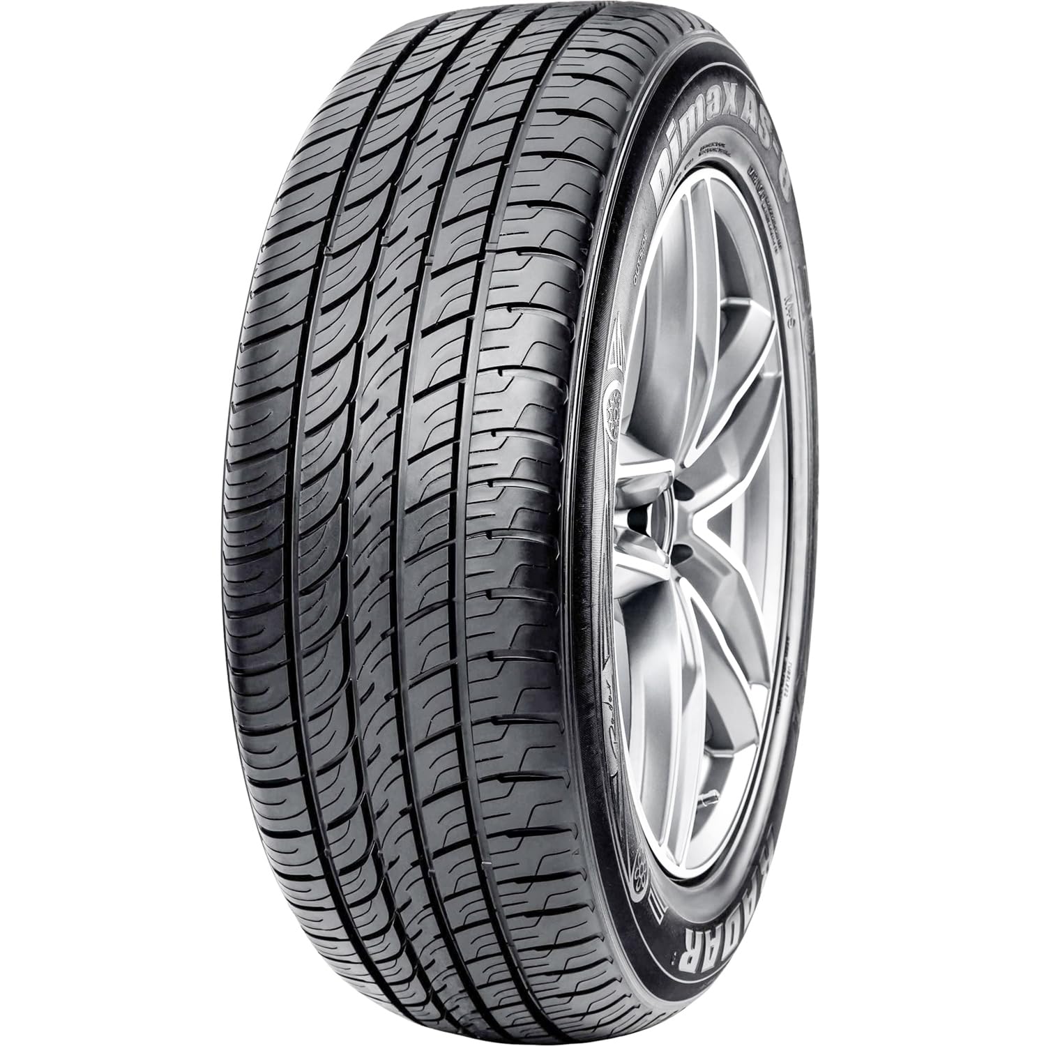 Amazon.com: Radar Tires Dimax AS-8 Touring Radial Tire - 265