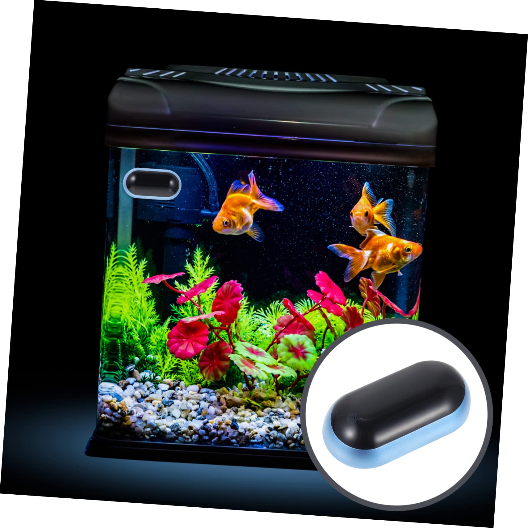 Toddmomy 3pezzi Termometro Per Acquario Con Display Lcd Misurazione Precisa Della Temperatura Per Terrari e Pesci Facile Installazione e Alta Durabilità Strumento Per Appassionati Di