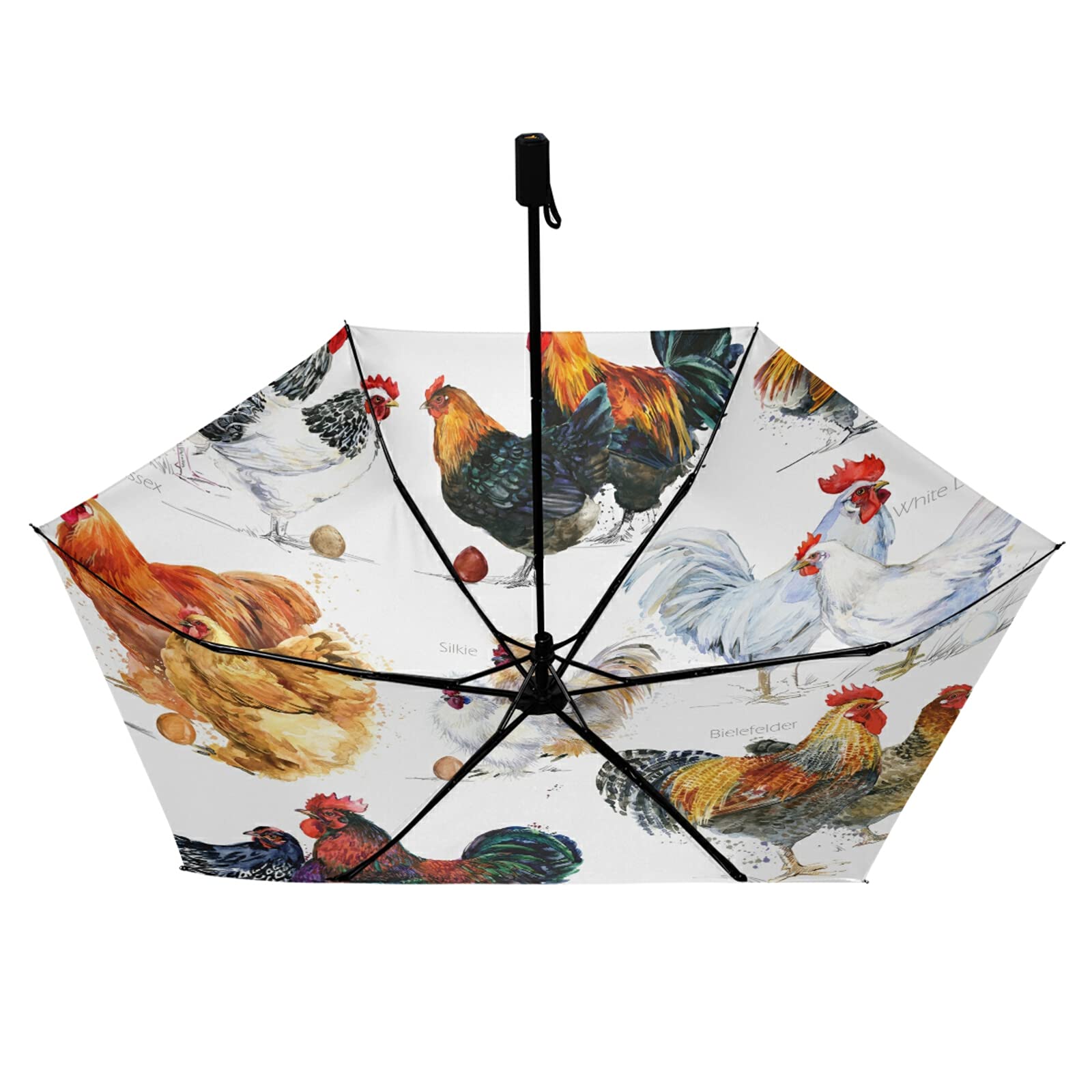 Poeticcity Multi 2 Chicken Hen Rooster Breed Collection Poultry Domestic Farm Birds Compact Lightweight Folding Umbrella, Inner Print Sun Parasol With Uv Protection, Strong Portable Travel Rain Umbrella
