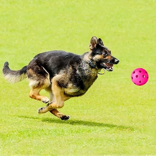 Miniatura 7 de Coopay Paquete de 2480 pelotas de práctica de béisbol, bolas de entrenamiento de plástico, bolas de softball huecas ligeras para golpe,