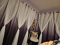 Review Image by Shel Shel