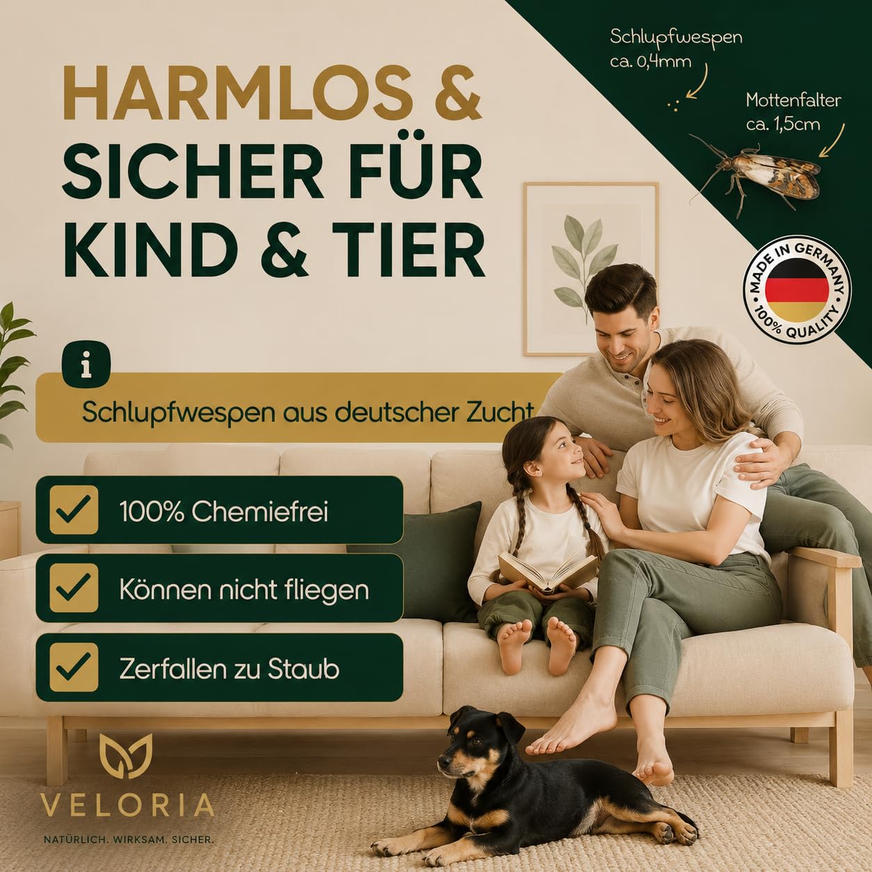 VELORIA Schlupfwespen gegen Kleidermotten - 36 Karten (6 Karten à 6 Lieferungen) - Effektiv Kleider Motten bekämpfen - Alternative zur Mottenfalle, Mottenspray, Pheromonfalle