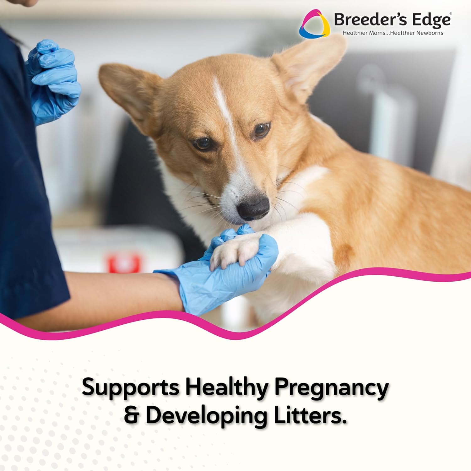 Breeder’s Edge Problem Female, Hormonal Support Supplement for Female Dogs & Cats, Natural Herbal & Amino Acid Blend to Support Reproductive Balance & Pregnancy Maintenance, Pork Liver Flavor, 454g