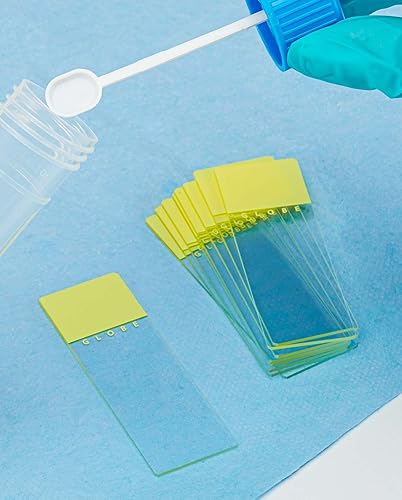 Miniatura 8 de Globe Scientific 1324Y - Diapositiva para microscopio de vidrio, tamaño 0.984 x 2.953 in, bordes de tierra con esquinas de seguridad, amarillo