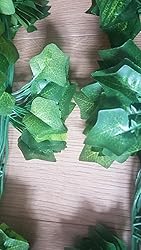 Yolistar 12Pezzi Edera Artificiale Finta,2.1m,Ghirlanda da Appendere,Piante artificiali,Patio,Matrimonio,Altalena,baluardi,Ufficio,Festa, Tutti i Santi,Decorazione di Natale
