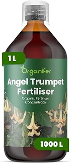 Liquid Fertilizer For Angels Butt - 1L - NPK 3-4-3 | Liquid Fertiliser For Ample Bloom & Strong Roots - Promotes Stems & Vitality - Organifes