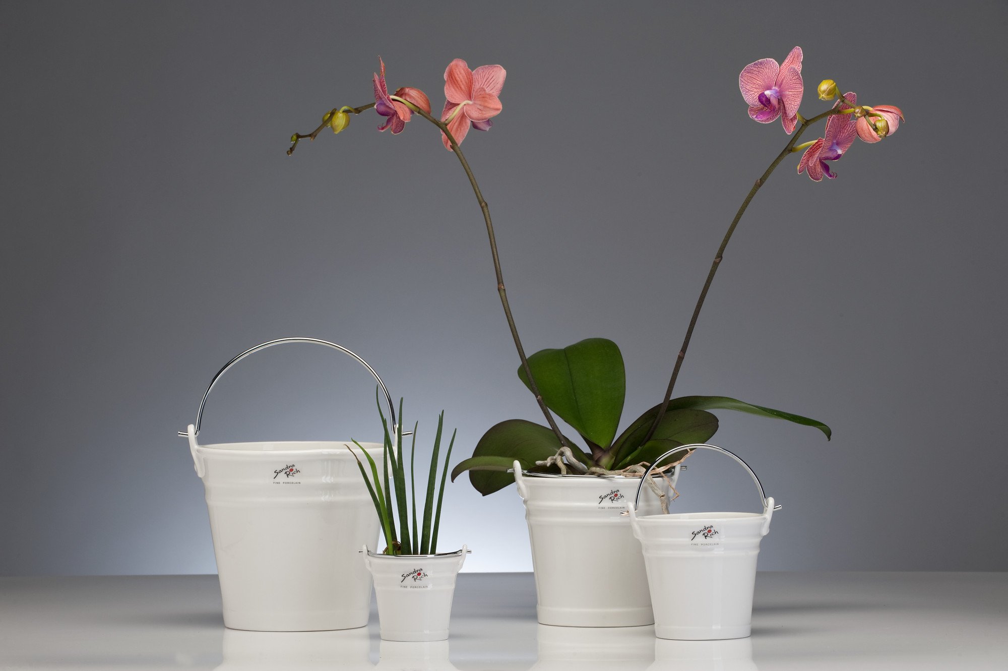 Bouton carré porcelaine Blanc 35x18mm - Chic & Durable | LINEA BERTOMANI