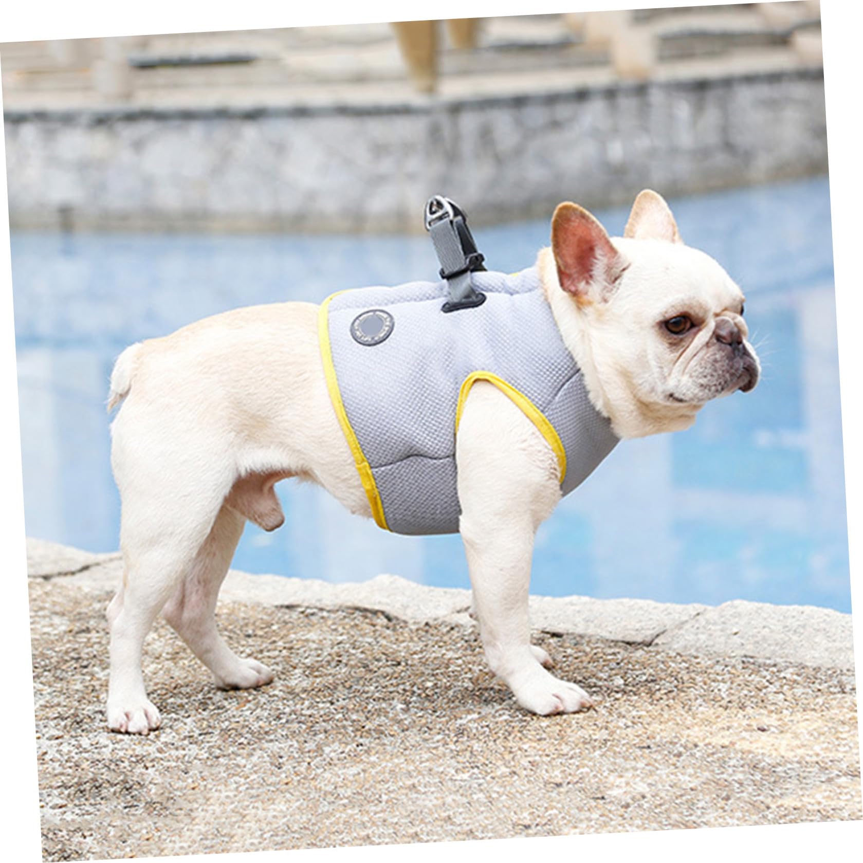 Sangle De Traction Pour Animaux De Compagnie Débardeurs Veste De Refroidissement Veste Rafraîchissante Pour Chien Camisoles Cool Gilet Sensation De Fraîcheur La Laisse Du Chien