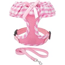 Step-in Dog Harness Small Sized and Leash Set | Cute Small Dog Harness No Pull Girl, Breathable Soft Mesh Padded, Adjustable Light Puppy Vest for Dogs Cats, Pink XS