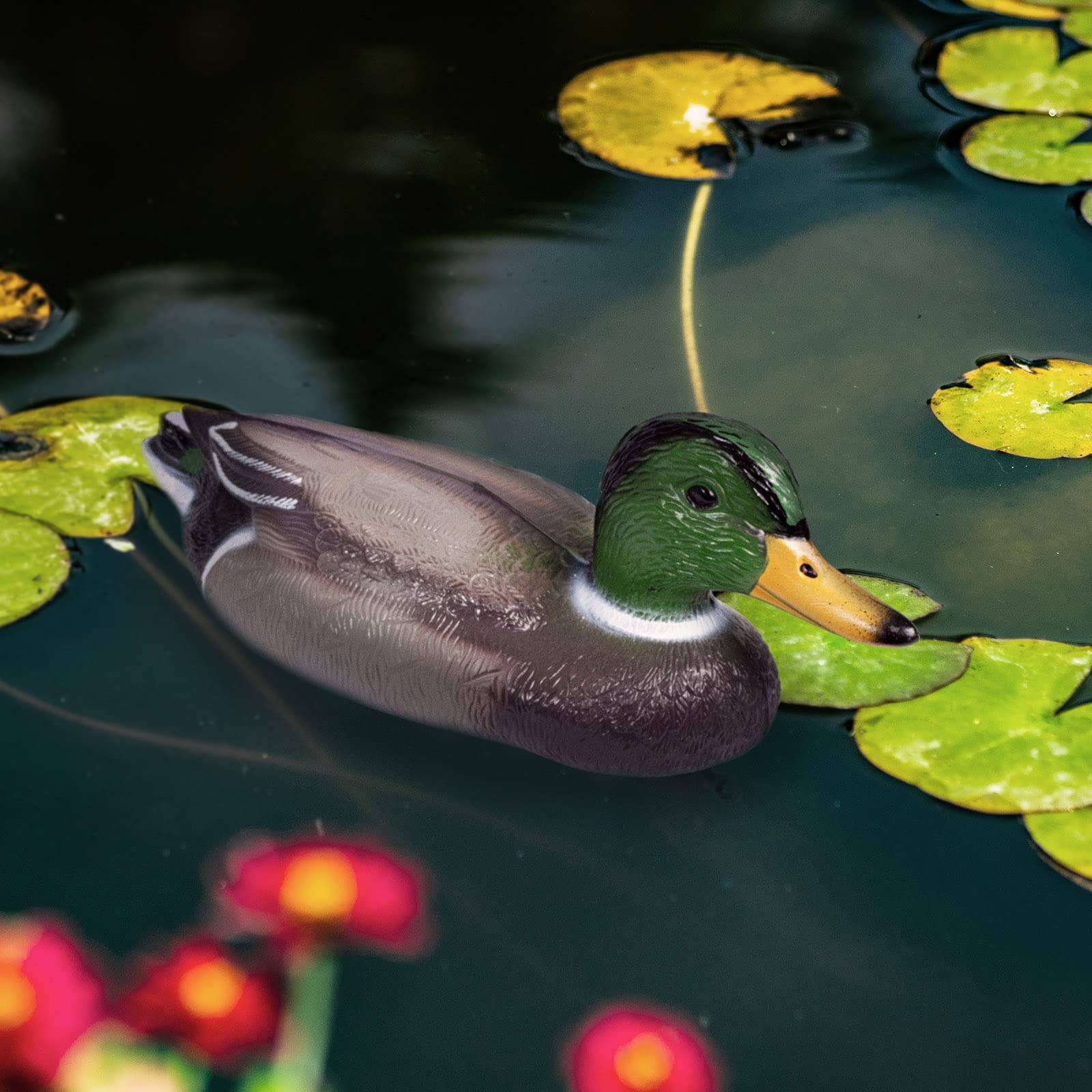 ARTECSIS 2X Canard colvert Male en Plastique 35 cm, Figurine pour Jardin, Décoration pour Étang ou Leurre pour la Chasse