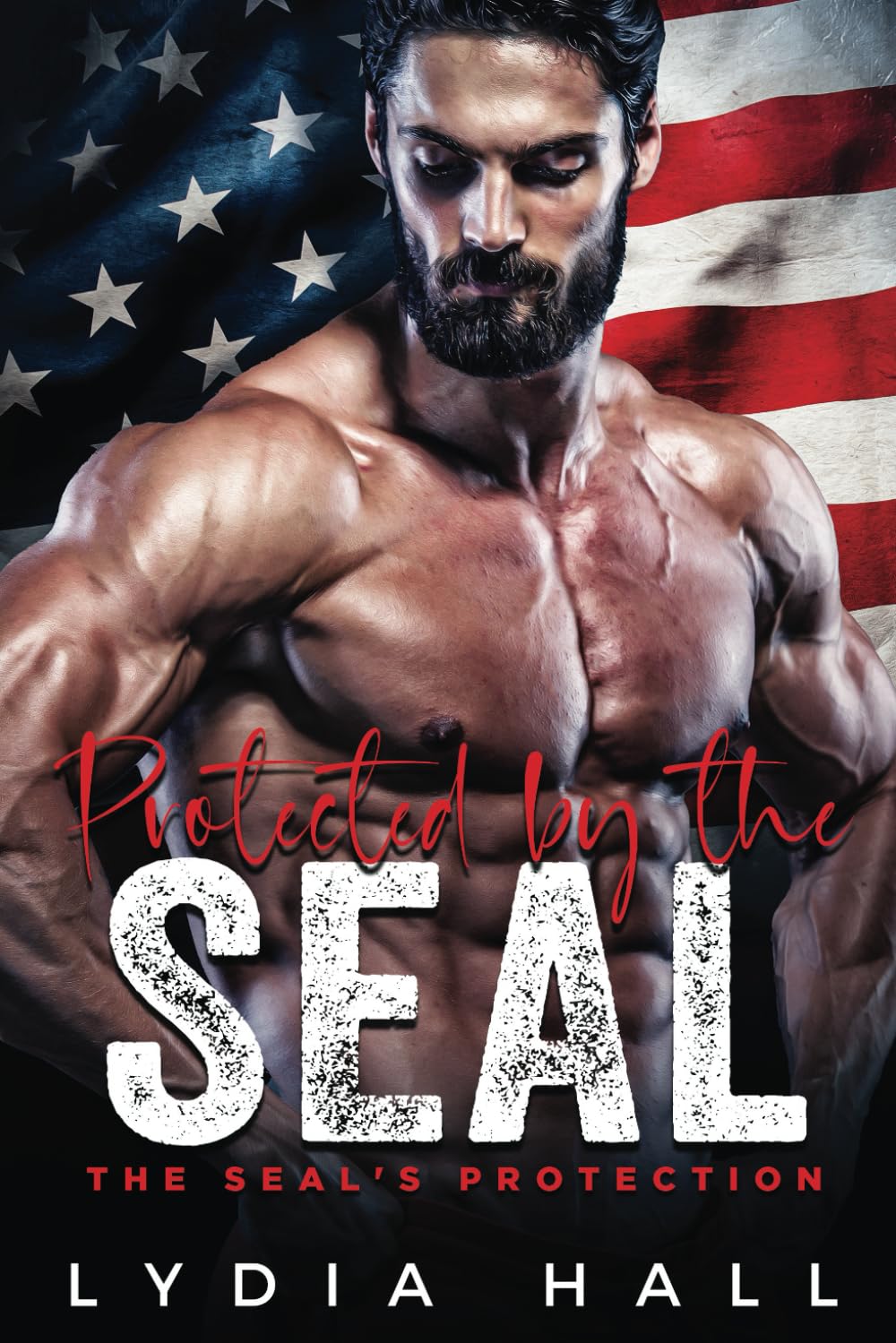 Protected by the SEAL (The SEAL's Protection)