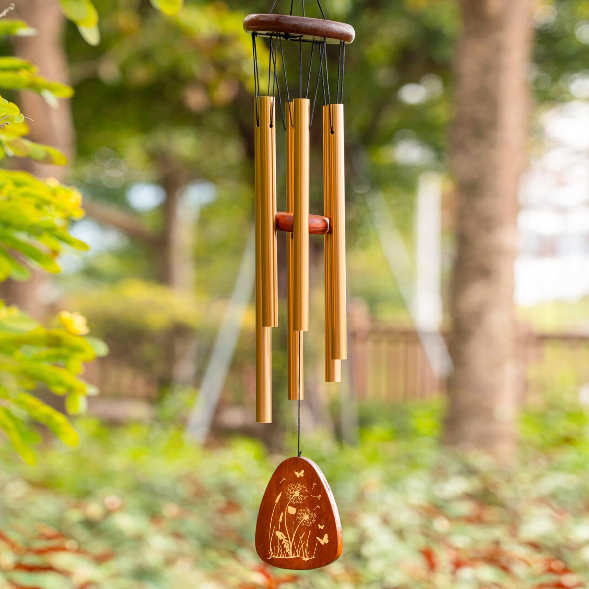 View 7