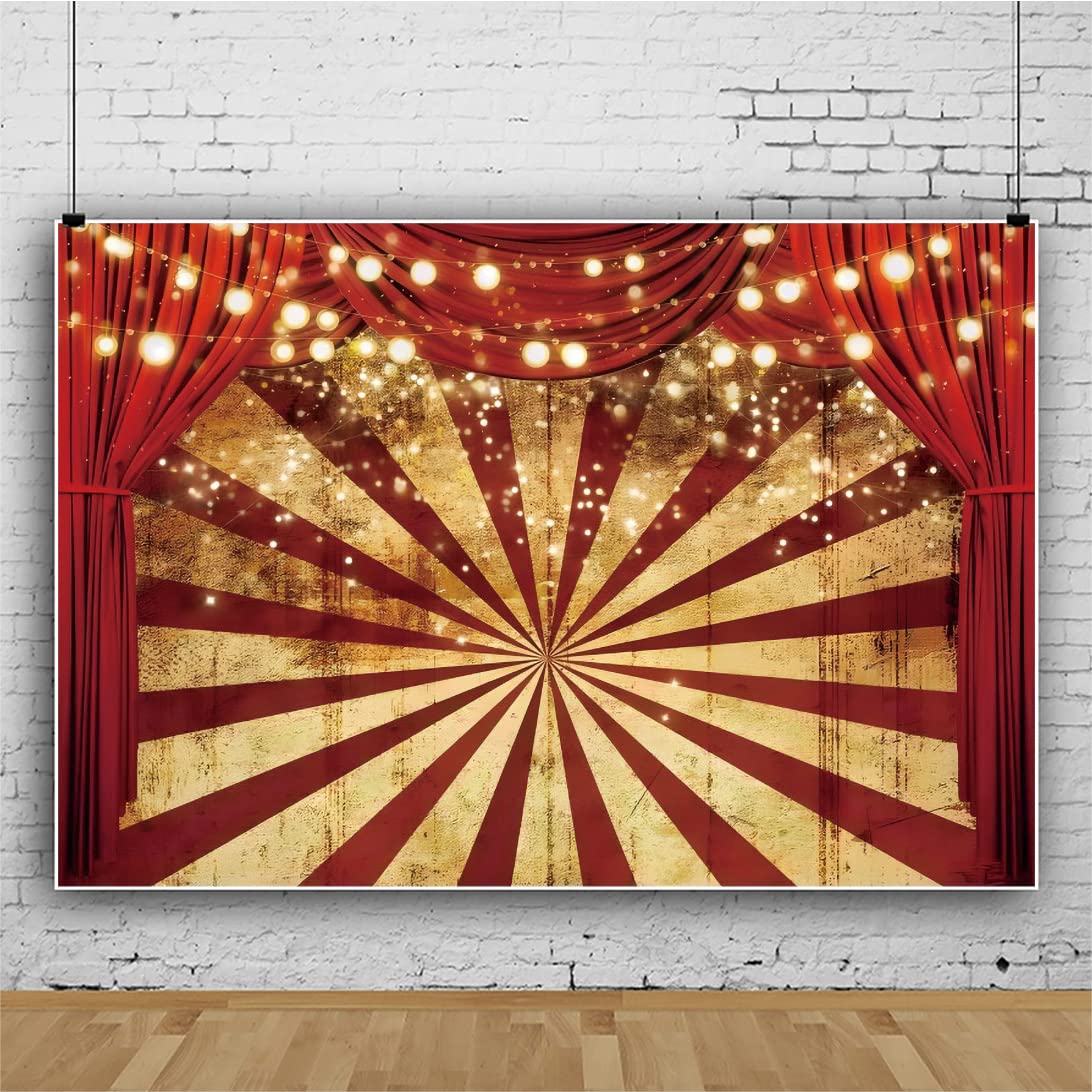 OERJU Fotohintergrund 10. Jahrestag – 1,8x1,2 M, Vinyl Mit Glitzer, Goldene Punkte, Für Hochzeit & Feiern