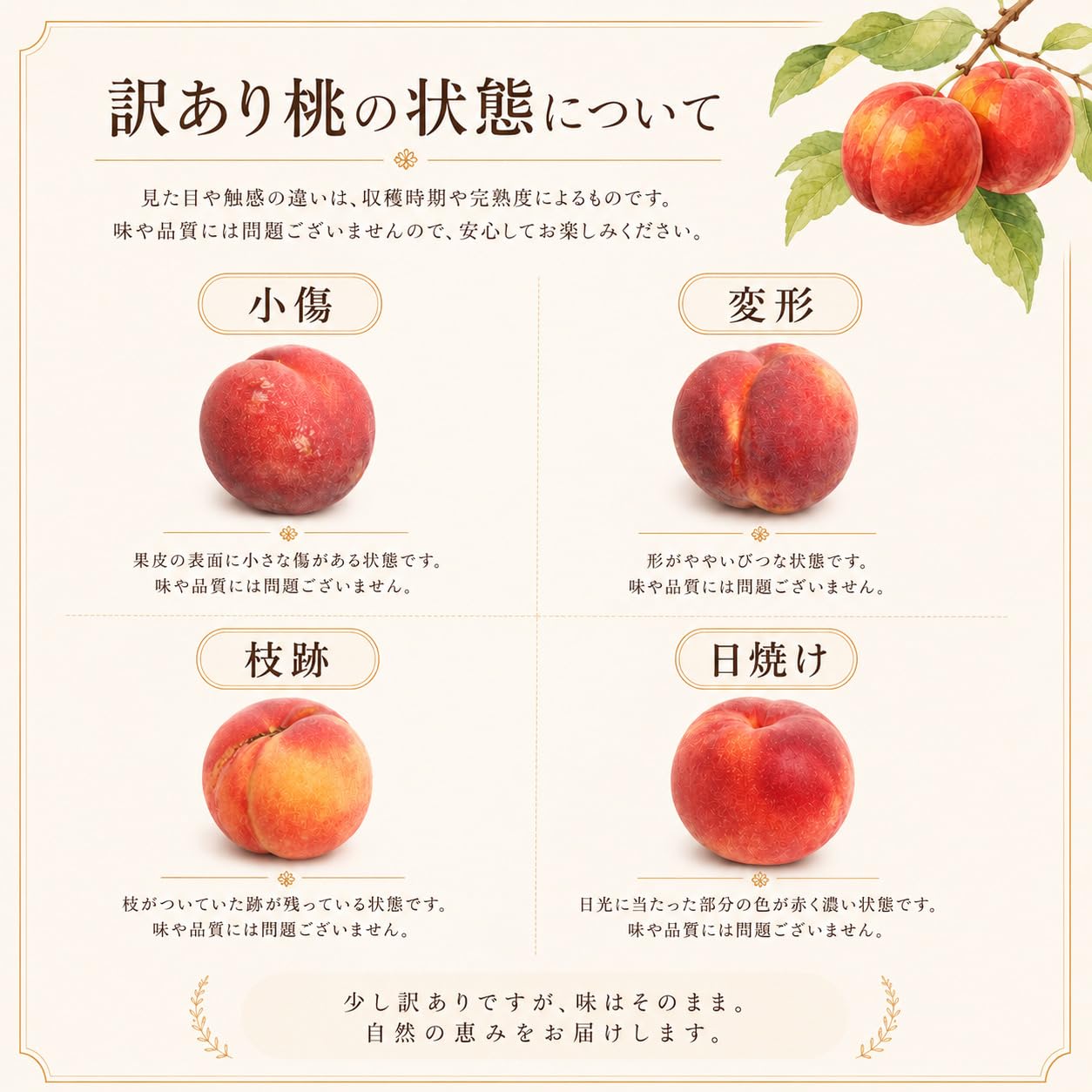Amazon.co.jp: ワッサー ご家庭用に ちょっとした贈り物にも 桃