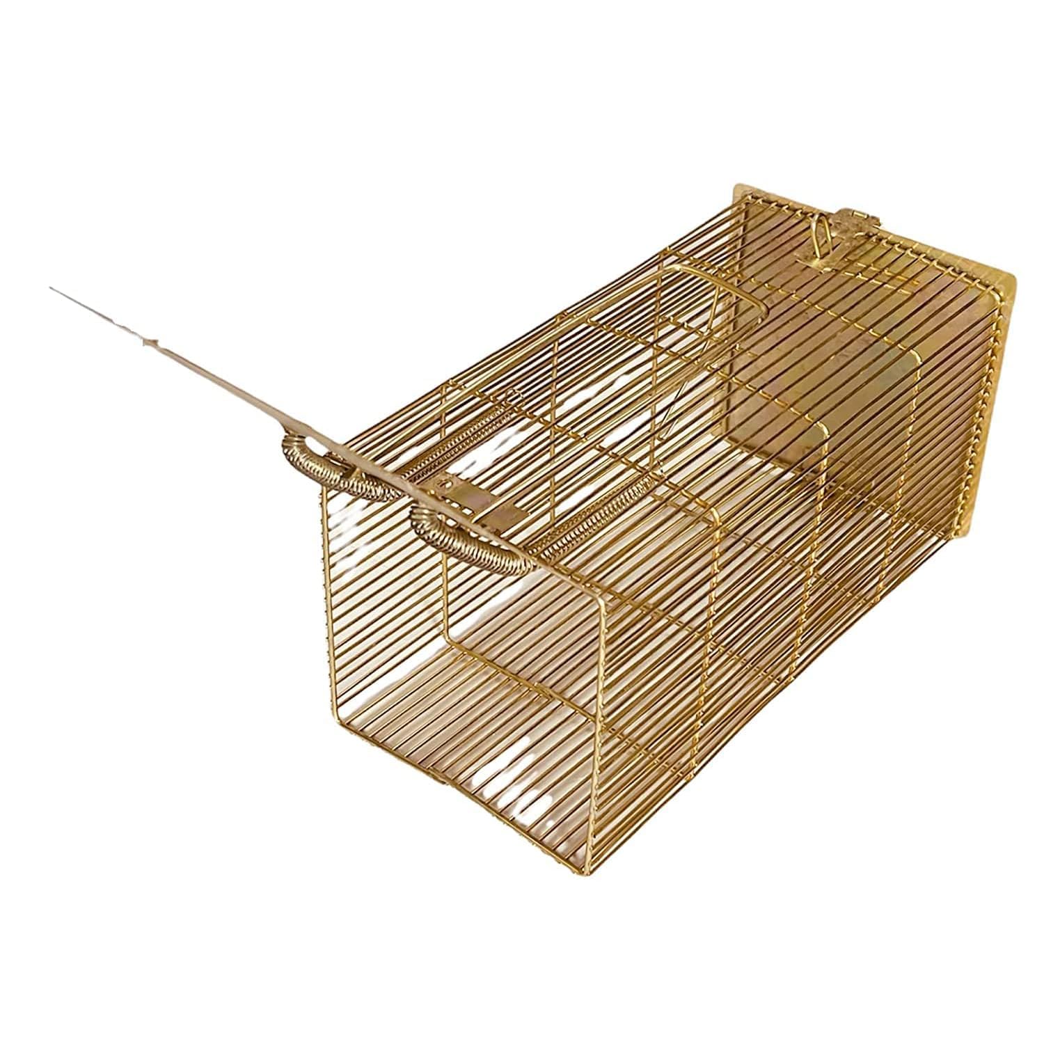 Lifekrafts Iron Rat Trap Cage – Humane Catch & Release Plank Trap. No-Kill Rodent House for Live Capture, a Friendly Pest Control Solution for All Rat Types (Size:L-21,W-10.5,H-10 cm),Green Gold. (B0DHVR3LD2) Amazon Price History, Amazon Price Tracker